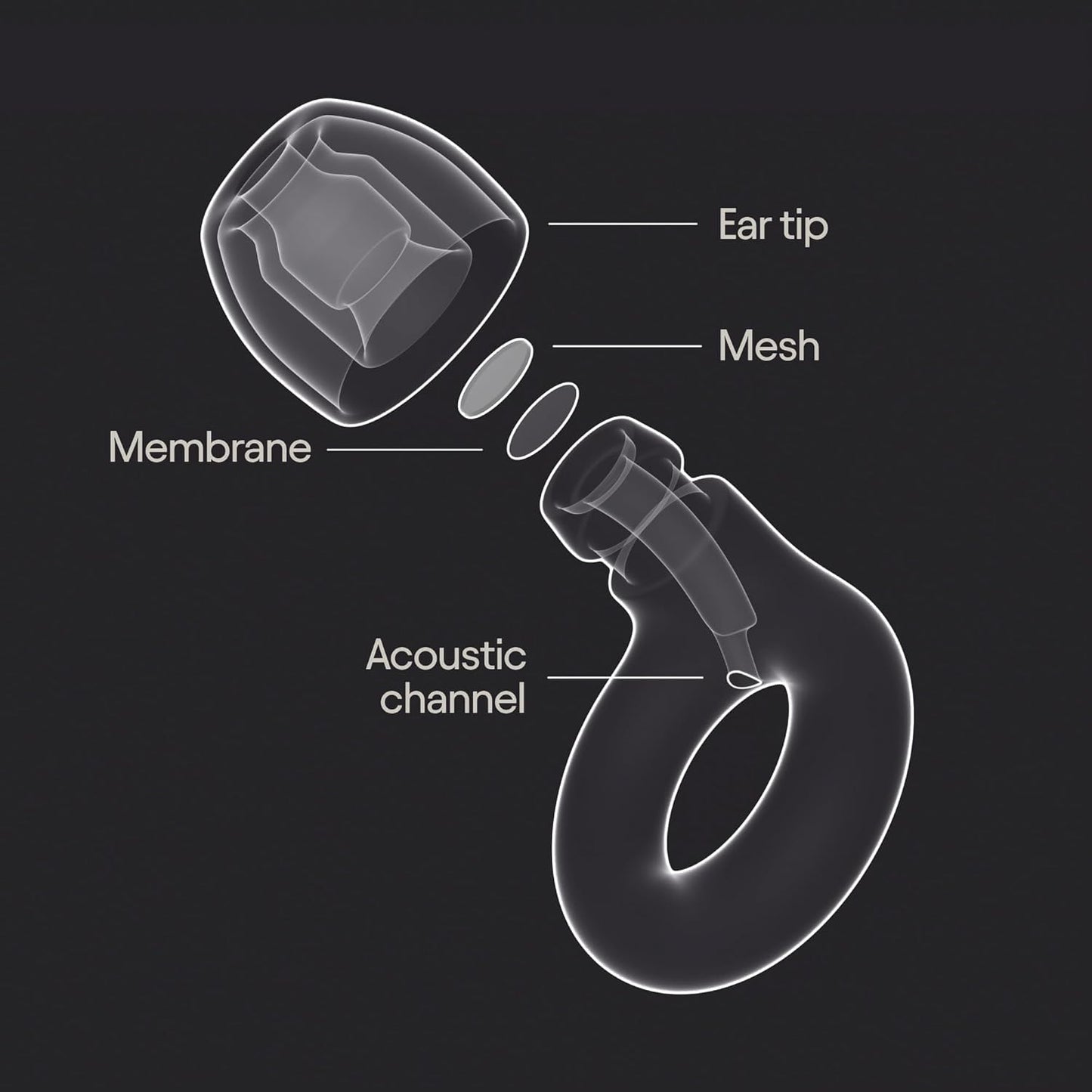 Stylish Concert Ear Plugs